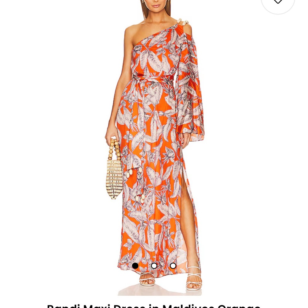Alexis Randi dress